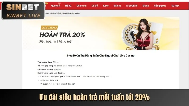 Chương trình hoàn trả 234win